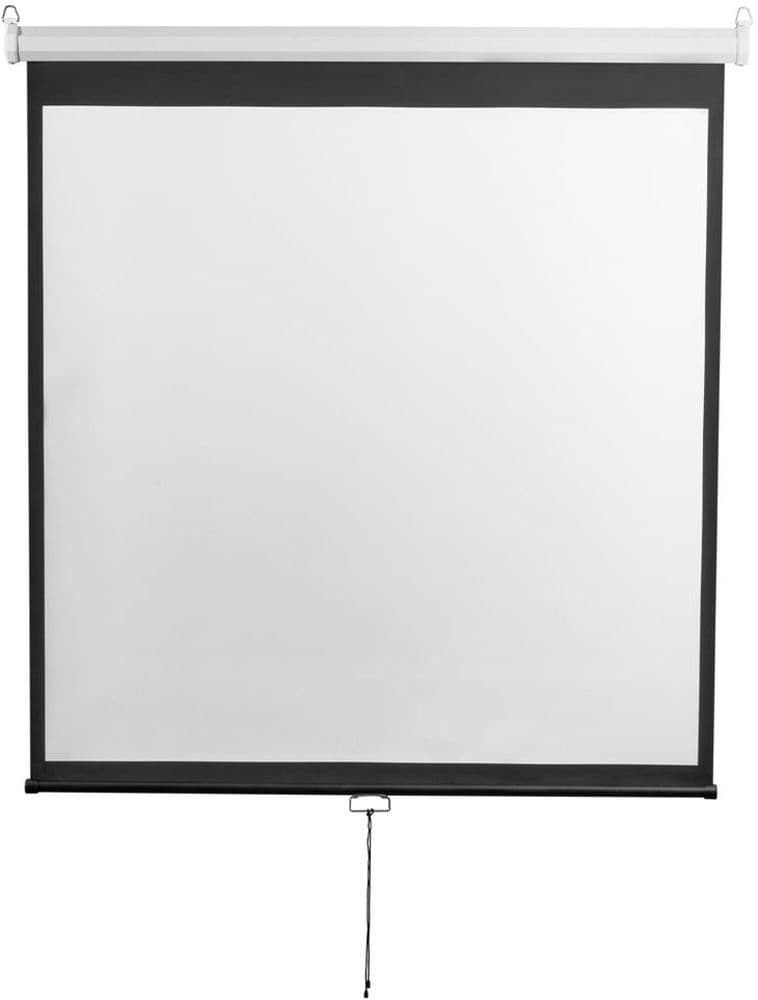 Экран Digis 112" 200x200см Optimal-D DSOD-1105 1:1 настенно-потолочный рулонный - фото 3