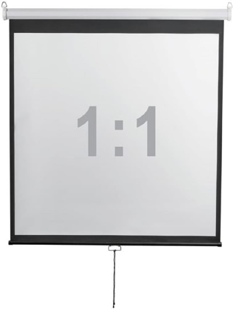 Экран Digis 112" 200x200см Optimal-D DSOD-1105 1:1 настенно-потолочный рулонный - фото 4