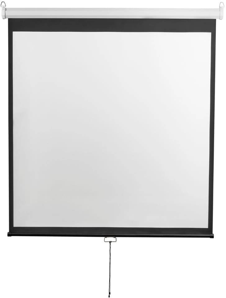 Экран Digis 135" 240x240см Optimal-D DSOD-1107 1:1 настенно-потолочный рулонный - фото 4