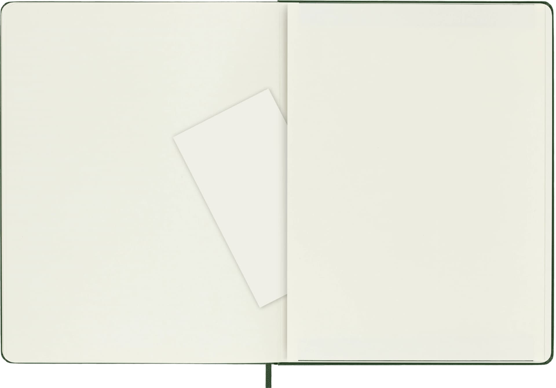 Блокнот Moleskine CLASSIC QP092K15 XLarge 190х250мм 192стр. нелинованный твердая обложка зеленый - фото 5
