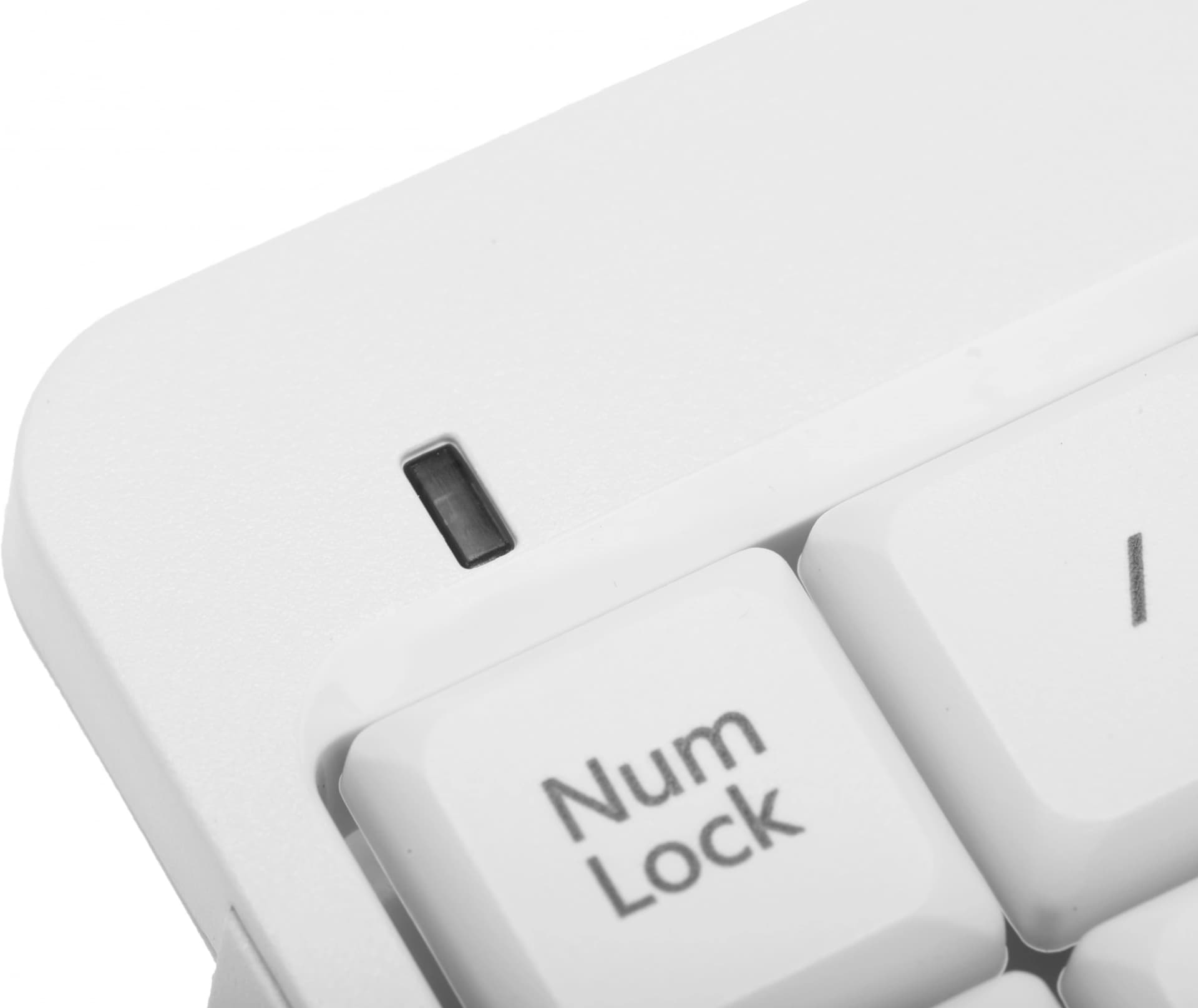 Числовой блок A4Tech FK13 белый USB slim для ноутбука (FK13 USB ( WHITE )) кабель 0.7м - фото 4