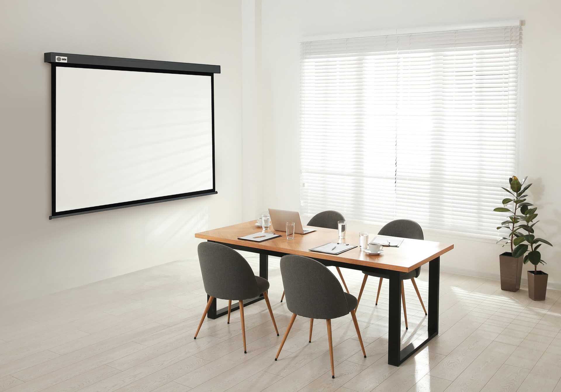 Экран Cactus 100" 180x180см Wallscreen CS-PSW-180X180-SG 1:1 настенно-потолочный рулонный серый