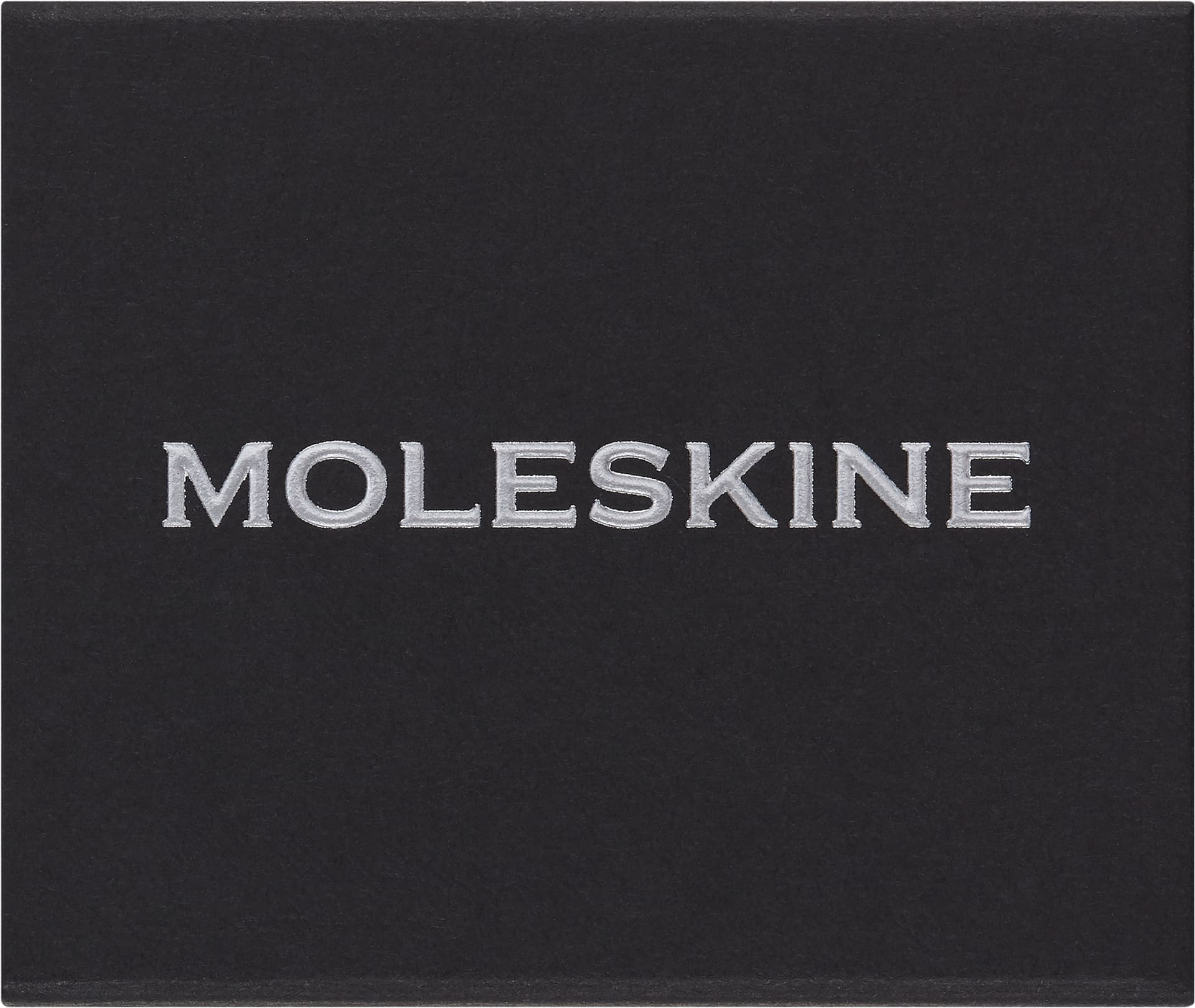 Шильд-символ Moleskine Zodiac Скорпион металл серебристый коробка с европод. PINSCORPIOSILV