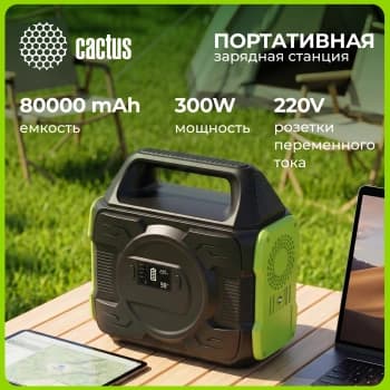 Электростанция портативная Cactus CS-PCS288 80000mAh 2.1A 3xUSB черный - фото 5
