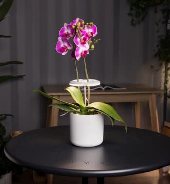 Светильник фито Cactus GARDEN светод. 7.5Вт цв.св.:белый (CS-LED-ORCHID) - фото 5