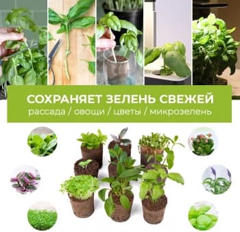 Набор питательных губок Cactus CS-SPONGE-10 для проращивания для CS-LEDPOT-06/08/10 (упак.:10шт) пакет - фото 5