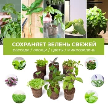 Набор питательных губок Cactus CS-SPONGE-11 для проращивания для CS-LEDPOT-11/SMARTPOT-11 (упак.:11шт) пакет - фото 5