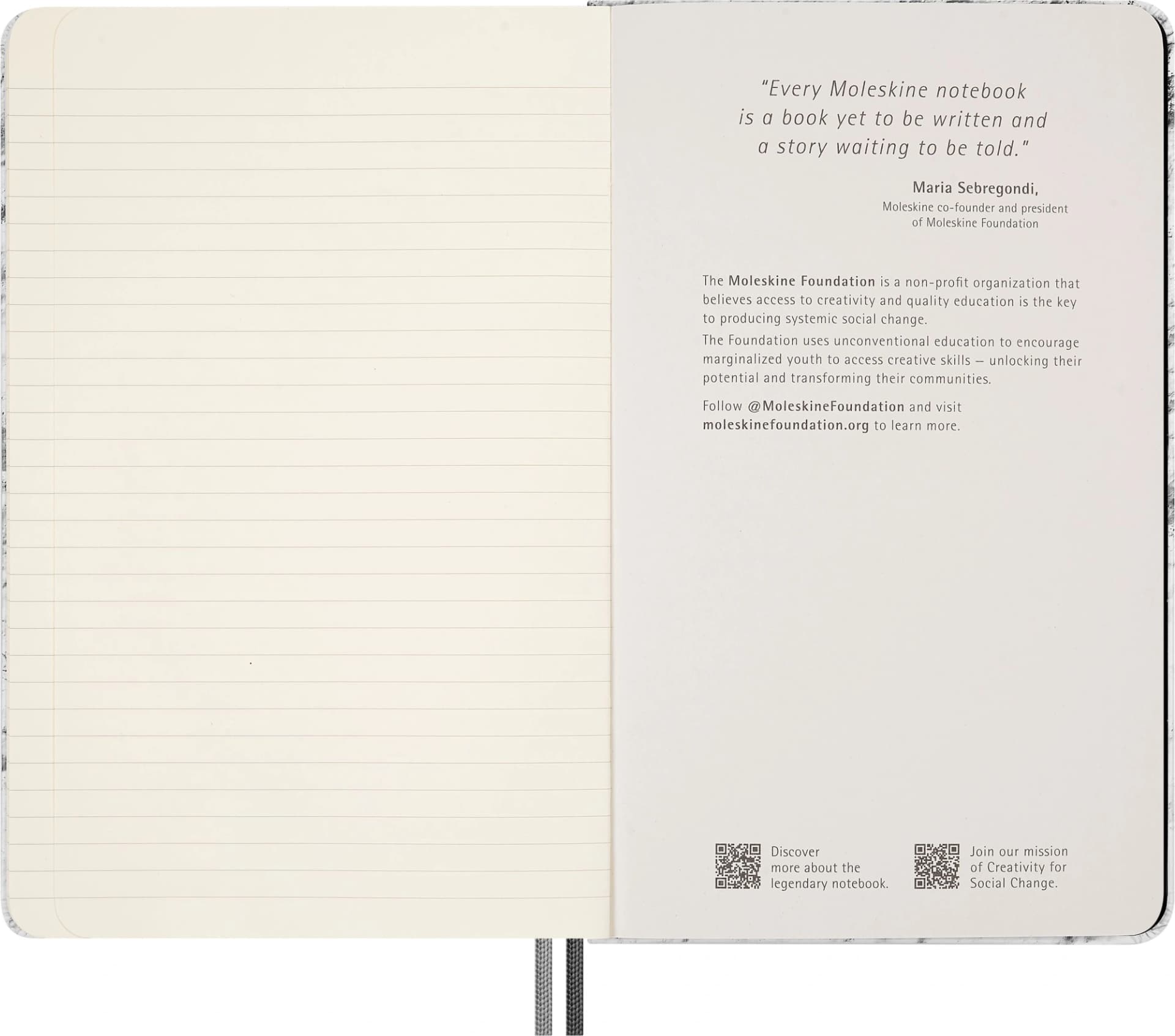 Блокнот Moleskine LIMITED EDITION NASA-INSPIRED SKNTBHL7063S1 Large 130х210мм 176стр. линейка серебристый Moon - фото 3