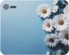 Коврик для мыши Cactus Daisies рисунок 250x200x3мм (CS-MPC-D07S) - фото 3