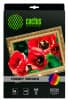 Холст Cactus CS-CA426010 A4/260г/м2/10л. для струйной печати - фото 3