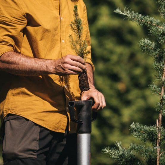 Сеялка для луковиц Fiskars Xact 1057077 105см - фото 2