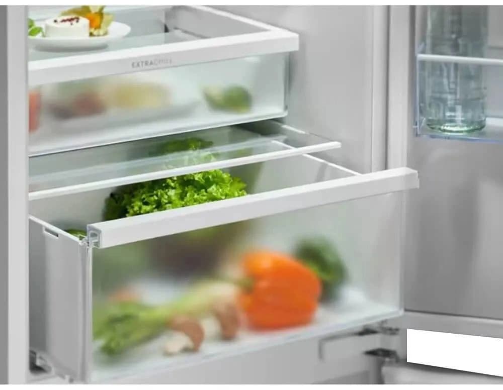 Холодильник Electrolux ENT6ME19S 2-хкамерн. - фото 4