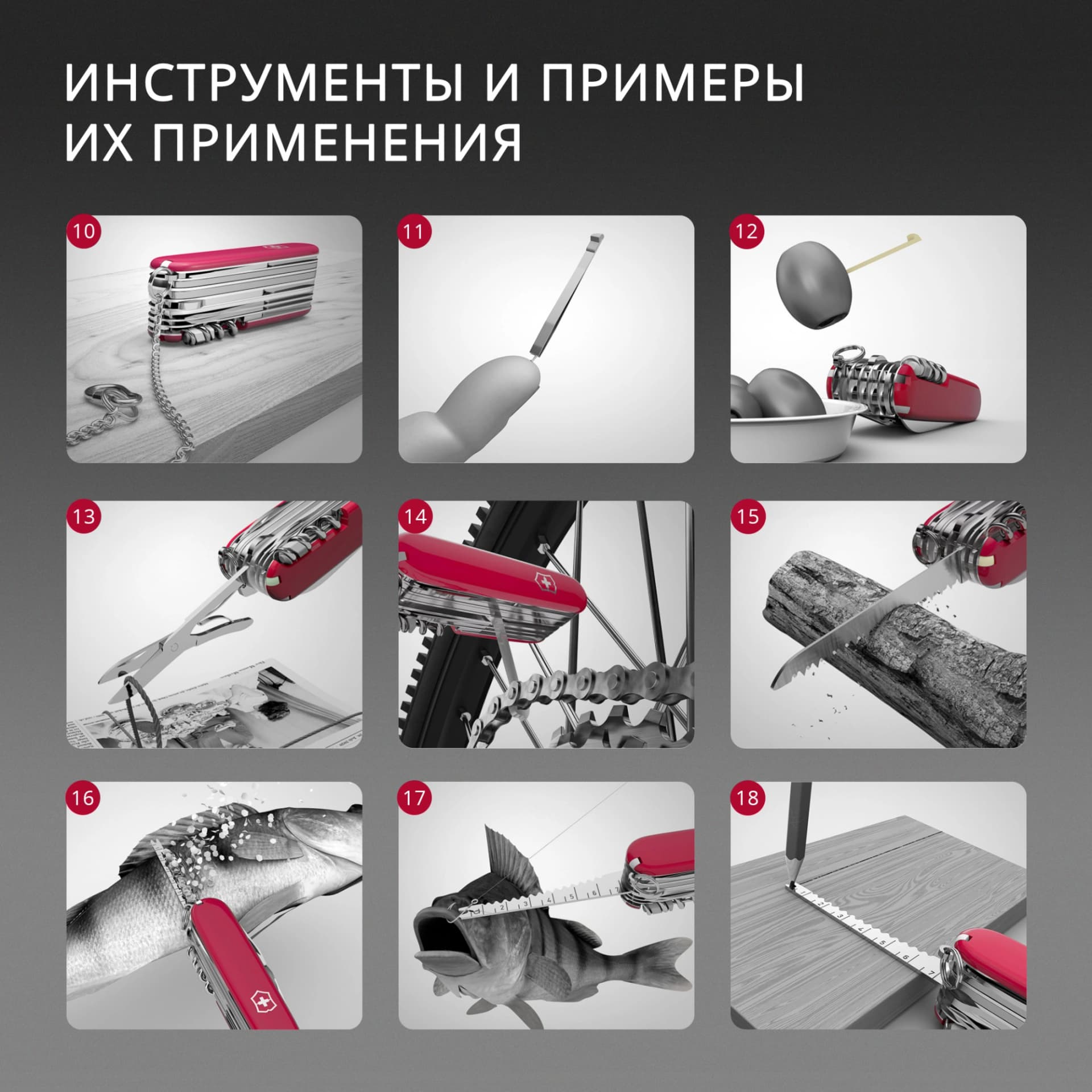 Мультитул Victorinox Companion S Alox (0.6261.26) 5функц. серебристый карт.коробка - фото 4