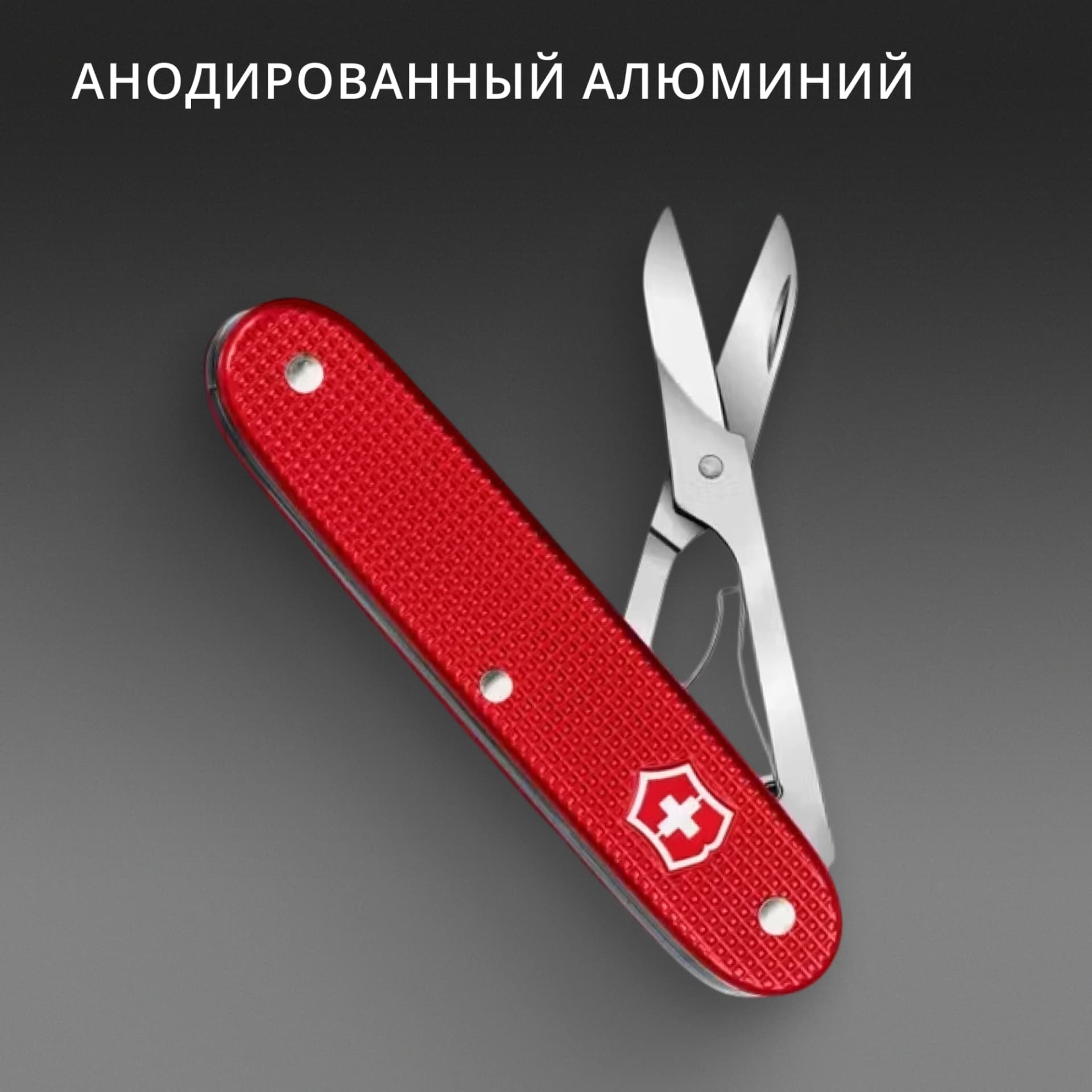 Ножницы Victorinox Companion X Alox (0.8070.20) 93мм 1функц. красный карт.коробка - фото 3