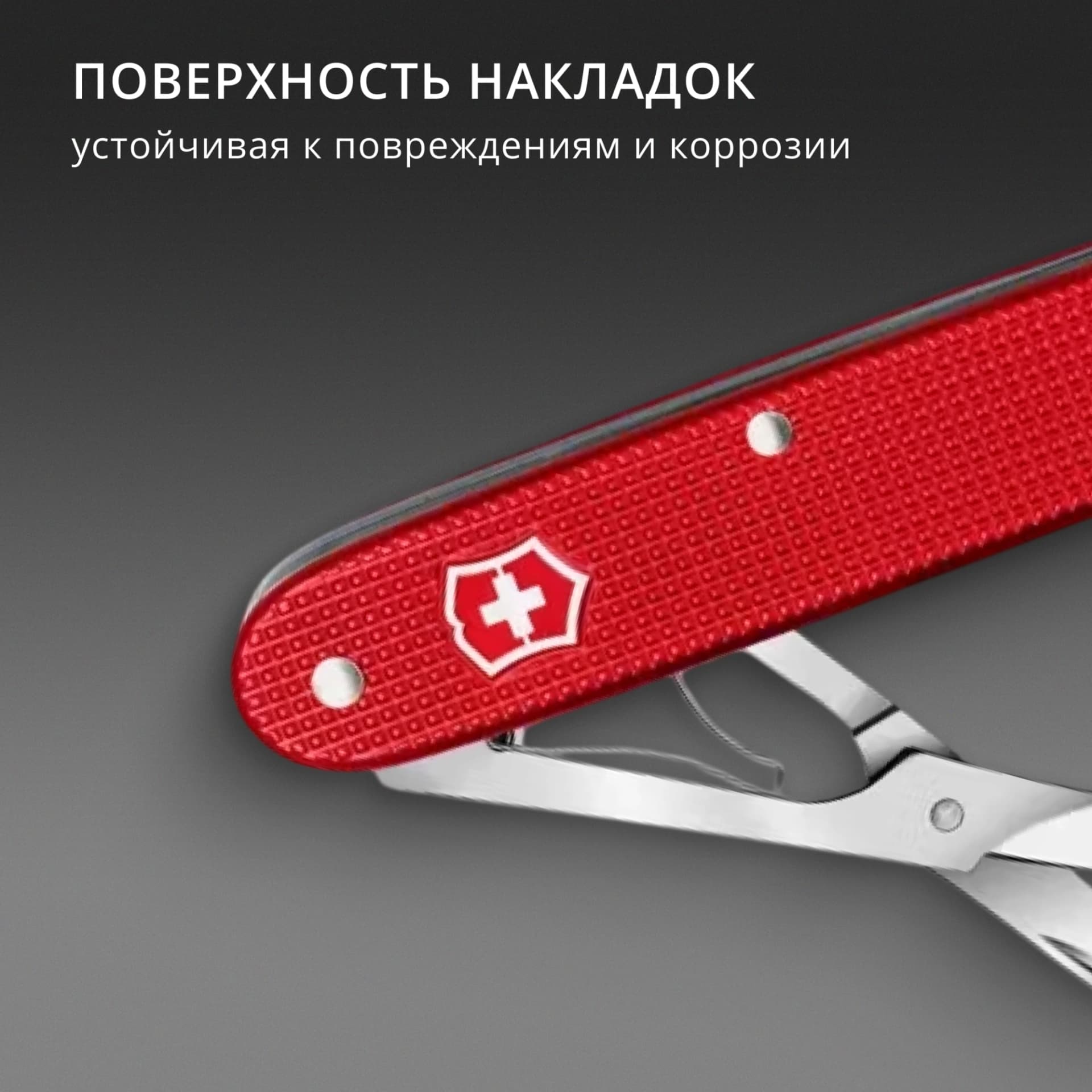 Ножницы Victorinox Companion X Alox (0.8070.20) 93мм 1функц. красный карт.коробка - фото 4